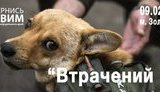 выставка
