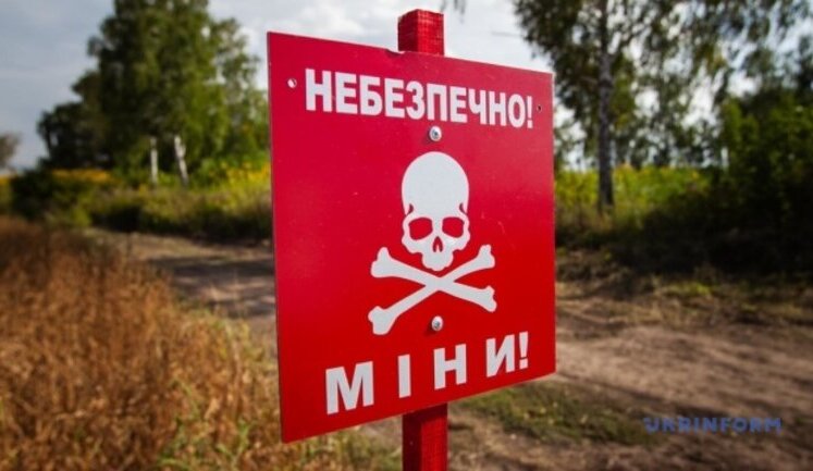 Коалиция по разминированию уже передала Украине оборудование на сумму более 470 млн евро, - посол Литвы Мейлунас