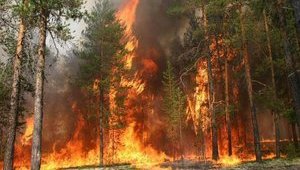 Ситуация с пожаром возле ЧАЭС обострилась, - Аваков