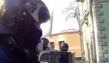 беркут