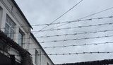 тюрьма луценко колония