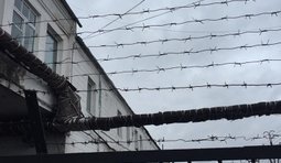 тюрьма луценко колония