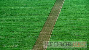 Україна має стати одним із центрів продуктової безпеки для світу, - Шмигаль