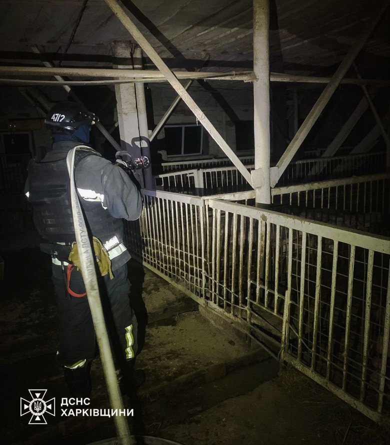 Нічна атака БпЛА на Харківщині: знищено ферму в Москалівці