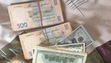 Двое сотрудников Фастовского лесхоза попались на взятке 195 тыс. грн за отпуск древесины без документов, - ГБР. ФОТОрепортаж