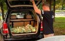 БЕБ вилучило понад 4,7 млн євро готівкою у одного з постачальників Міноборони.