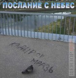 На мосту Кадырова