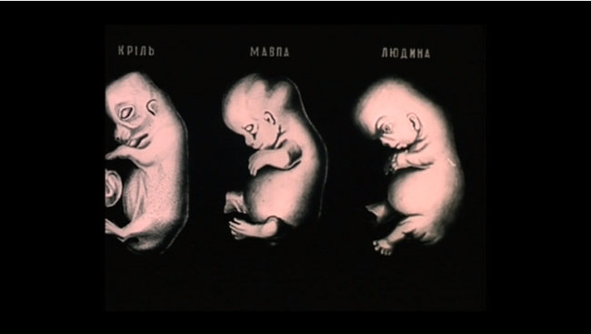 Україна викупила в Японії один зі своїх перших наукових фільмів, що вважався втраченим 03