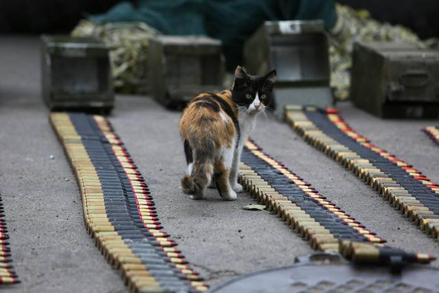армия ато