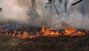 Завдані довкіллю через війну збитки сягнули 85 мільярдів євро, – Мінприроди