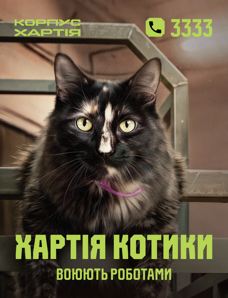 Хартия котики