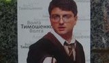 Противники Тимошенко заклеили Киев Киреевым в образе Гарри Поттера. ФОТО