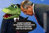 Ловите наркомана!