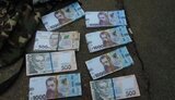 Задержан мошенник, обменявший сувенирные купюры на 20 тыс. долл., - Нацполиция. ФОТО