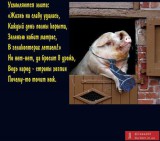 Элита и народ
