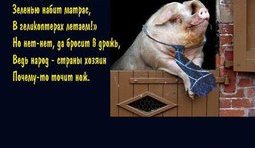 Элита и народ