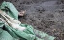 геноцид,труп,насильство,жертви,злочин,козлюк,звірства,тіла,тіло