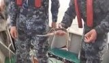 В акваторії Чорного моря прикордонники виявили кілометрову сітку з червонокнижним уловом. ВIДЕО