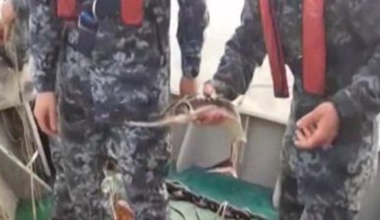 В акваторії Чорного моря прикордонники виявили кілометрову сітку з червонокнижним уловом. ВIДЕО