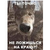 валера кулик