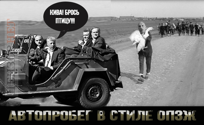 Переполох у Кремлі, автопробіг у стилі ОПЗЖ, нова уніформа від Сергія Лещенка. Свіжі ФОТОжаби від Цензор.НЕТ 02
