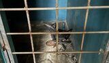 вовчанськ,катівня