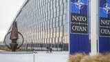 Немає короткого шляху до членства в НАТО: важливо, щоб реформи в Україні давали результати, - директорка Центру інформації Альянсу Клейне