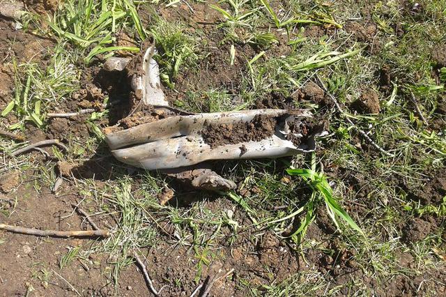 Militants shelled Popasna cemetery with Grads, - National Police 05 Militants shelled Popasna cemetery with Grads, - National Police 05