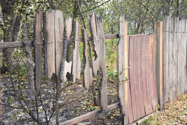 На Луганщині через пожежі перекрито рух у Станицю Луганську, - поліція 11 На Луганщині через пожежі перекрито рух у Станицю Луганську, - поліція 11