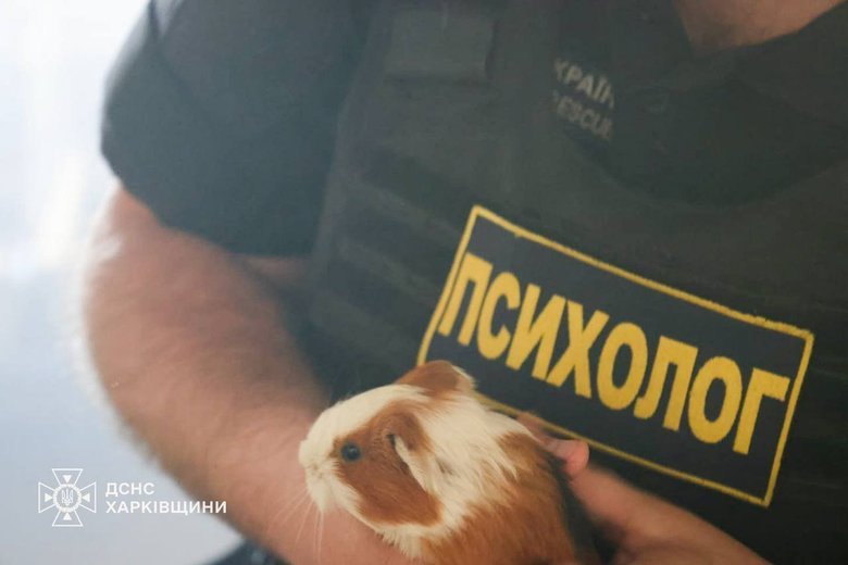 Ворог атакував зоопарк у Харкові 15 червня