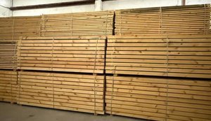 БЕБ ліквідувало багаторічну схему тіньового експорту деревини