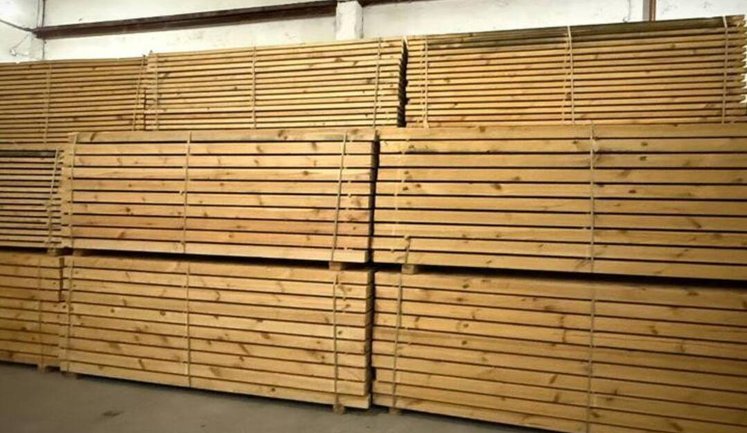 БЕБ ліквідувало багаторічну схему тіньового експорту деревини – проведено понад 60 обшуків. ФОТО