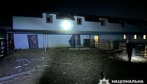 Shaheds attack in Kyiv region: houses and cars damaged. PHOTO