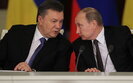 янукович,путін