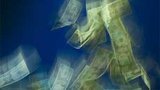 НБУ снизил официальный курс гривни к доллару США с 5,05 до 4,85 гривен за 1 $ США (обновлено)