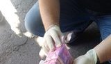 Чиновница Госэкоинспекции задержана на Черкасщине при получении 100 тыс. грн взятки, - ГПУ. ФОТО