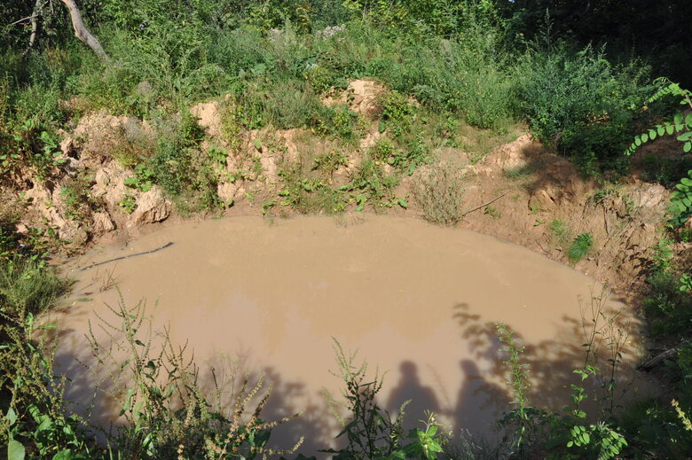 У Чернігові екологи зафіксували злочини РФ для позову у міжнародний суд 20