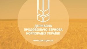 Голоса в обмен на должность: человека Тимошенко назначили в ГПЗКУ на следующий день после голосования за бюджет