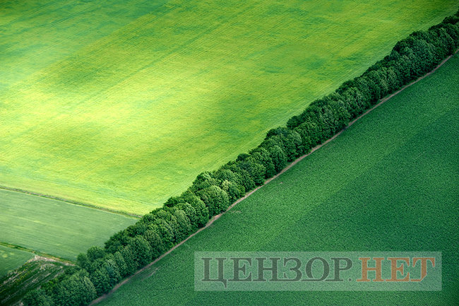 Сільська ідилія, звивисті річки і хмари, що біжать полями: літо в Україні з висоти пташиного польоту 14