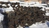 Махінації на 400 млн грн виявлено під час закупівлі запчастин "Укрзалізницею", - СБУ. ФОТОрепортаж