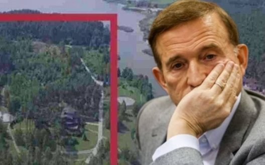 Прокуратура Київщини повернула державі ще 10 гектарів лісу, 