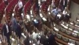 "П#дарас!", - "Ахметовский клоун!", - Ляшко и Лещенко дискутируют в сессионном зале ВР. ВИДЕО