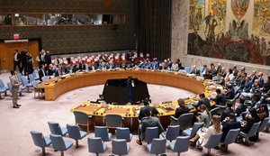 51 countries urge Russia to accept Ukraine ceasefire