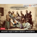 Первое знакомство