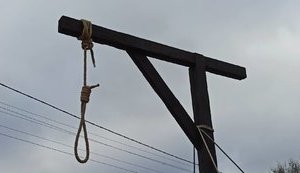 "Тупицкий, вали в Ростов!": активисты провели акцию с виселицей под домом главы КС Тупицкого. ВИДЕО+ФОТОрепортаж
