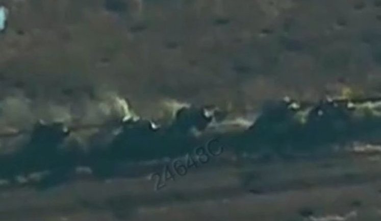 Destruction of armored column of Russian army near Shakhove, Donetsk region: "How many did you count?" - "Ten. Correction - eleven". VIDEO