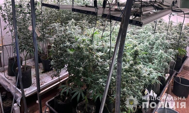 У Львові ліквідовано наркоугруповання