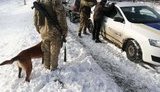 Підозрюваного у зґвалтуванні неповнолітньої затримали на Сумщині, - Держприкордонслужба. ФОТО