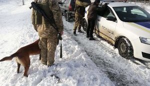 Підозрюваного у зґвалтуванні неповнолітньої затримали на Сумщині, - Держприкордонслужба. ФОТО