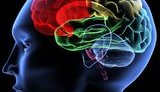 Ученые нашли медикаментозный способ бесследно стирать воспоминания